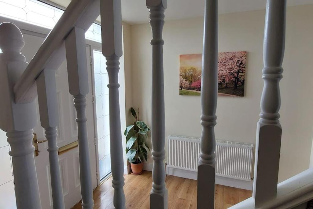 Modern Countryside Apartment Killmallock Lodge Enniscorthy Exterior photo